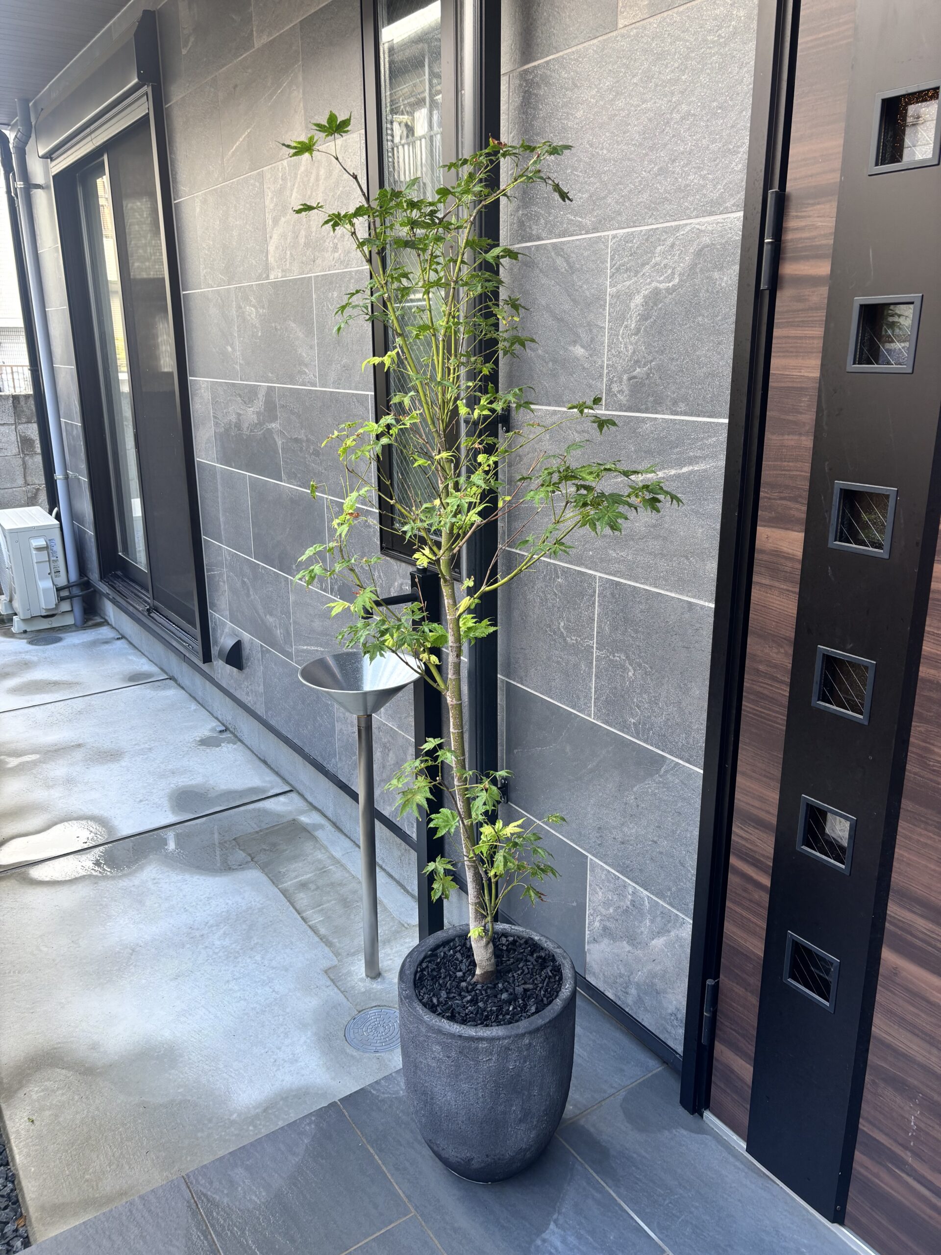 代表コラム